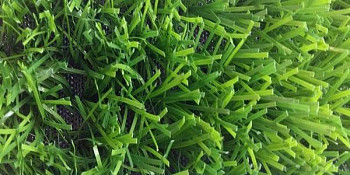 Искусственная трава Forio Geleonsport 40mm Geleonsport 40 фото 1 | FLOORDEALER